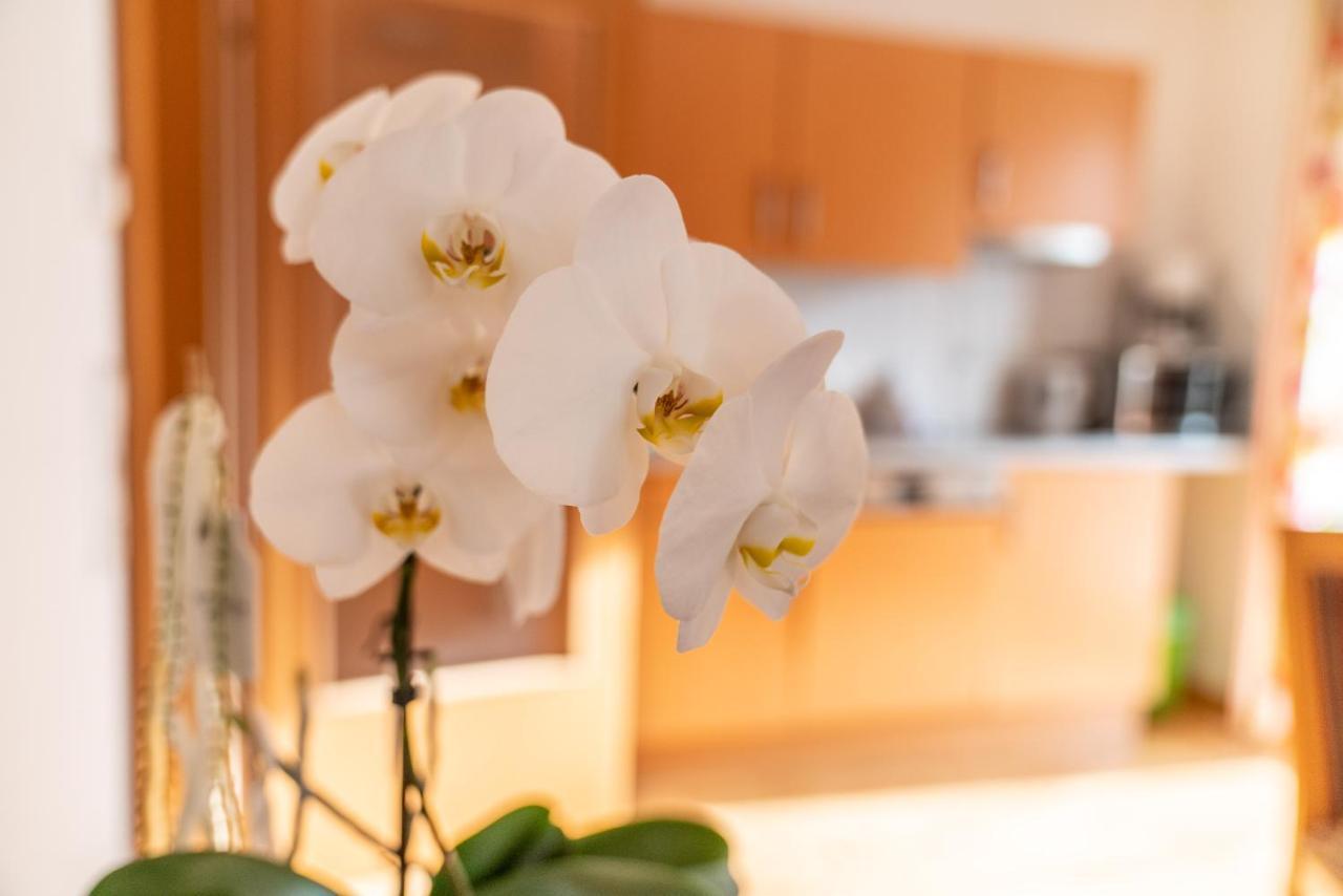 Appartementhaus Steirergasse By Schladming-Appartements Εξωτερικό φωτογραφία